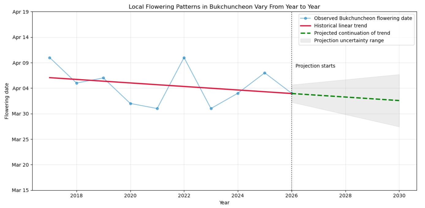 flowering trend (bukchuncheon)